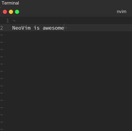 Neovim2